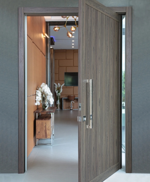 Aluminum Pivot Doors