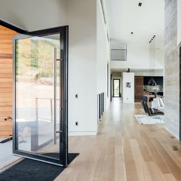 Contemporary Pivot Doors